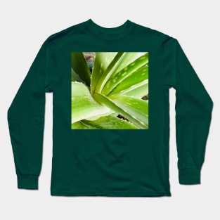 Aloe vera plant Long Sleeve T-Shirt